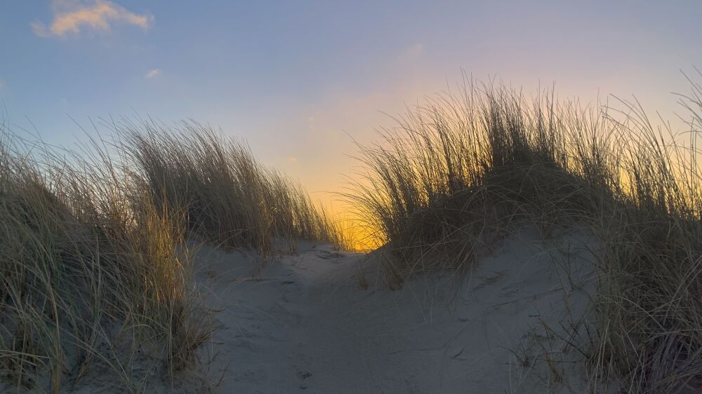 Zonsondergang in de duinen