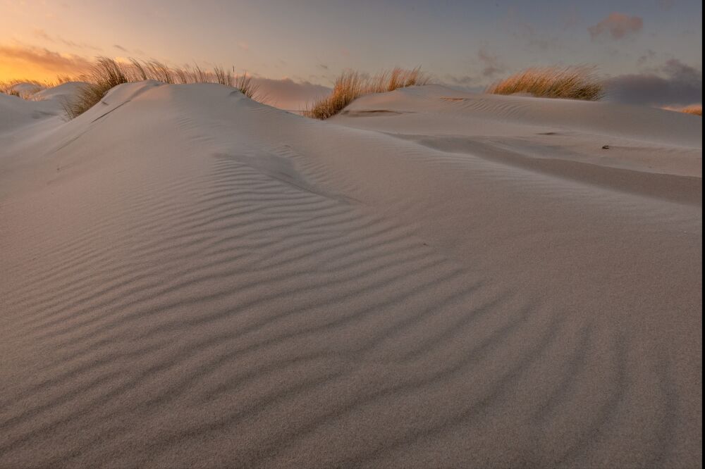 Strijklicht over de duinen