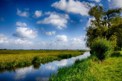 Hollands landschap