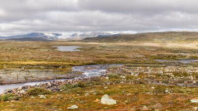 Hardangervidda 7