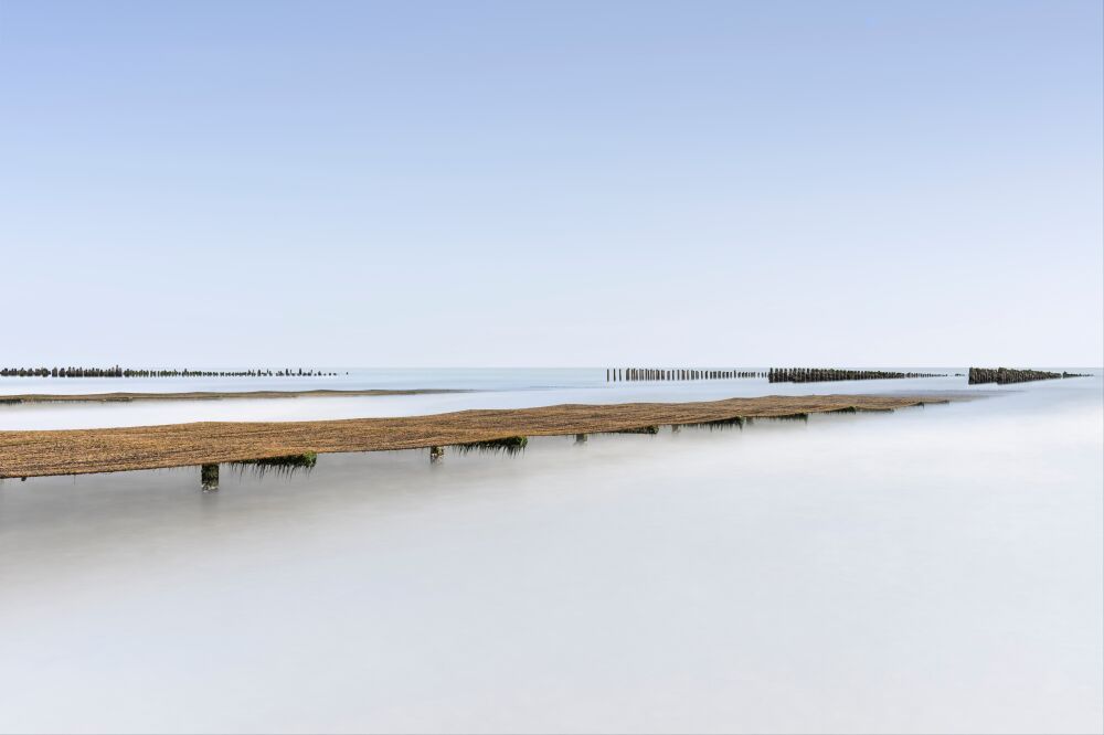 Mussel bed on the Opal Coast II