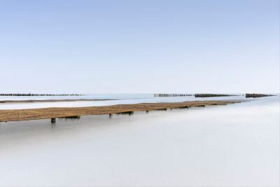 Mussel bed on the Opal Coast II