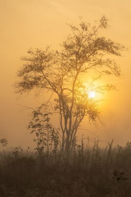 Mistig begin van de dag