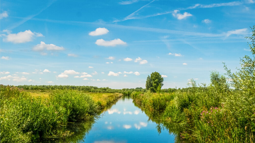 Waalbos Ridderkerk Rijsoord 