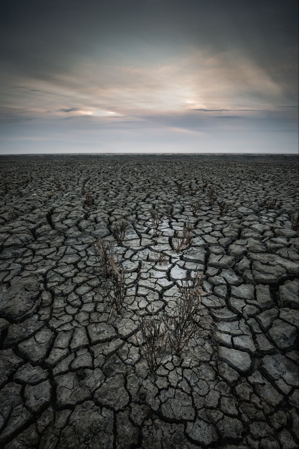 De droogte op de Wadden