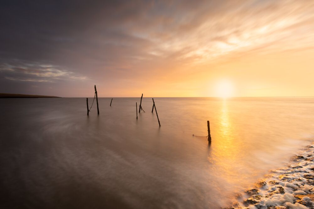 Visstoken in de Waddenzee