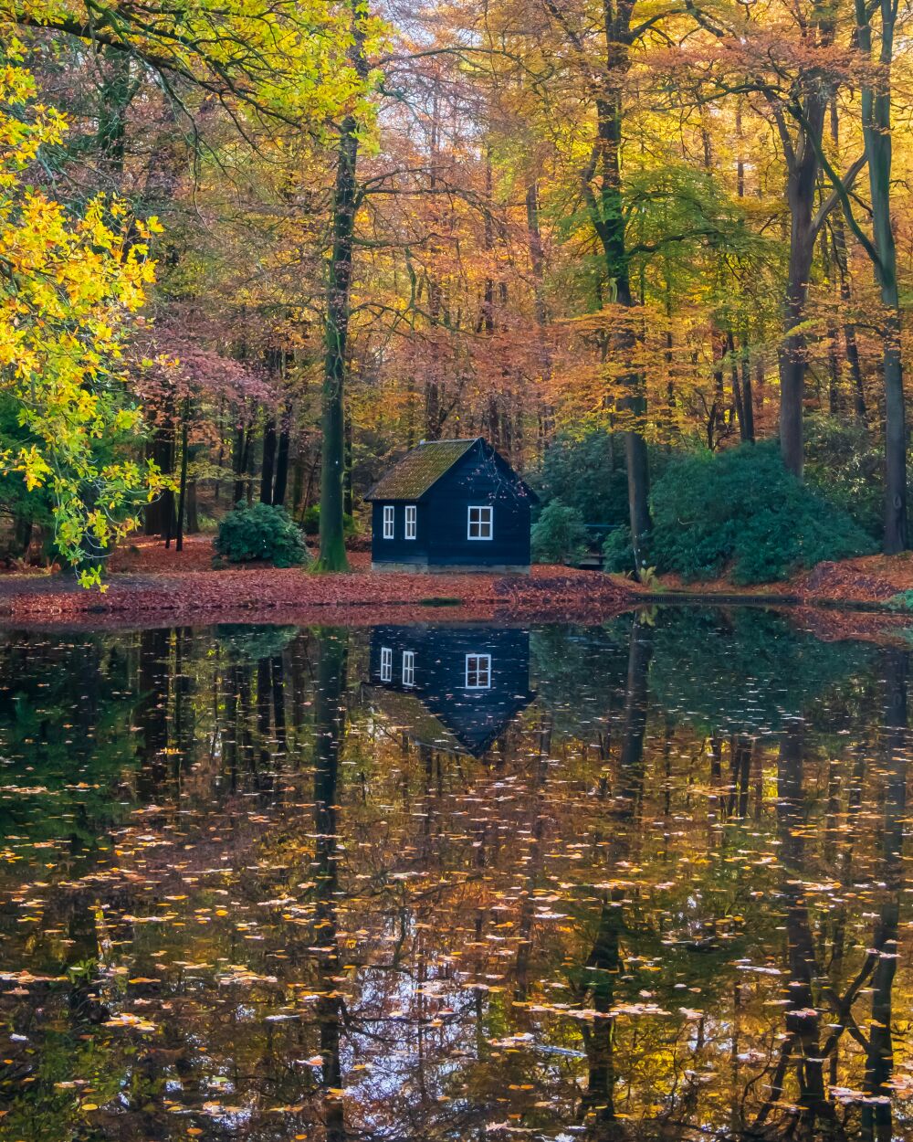 Kroondomein het Loo