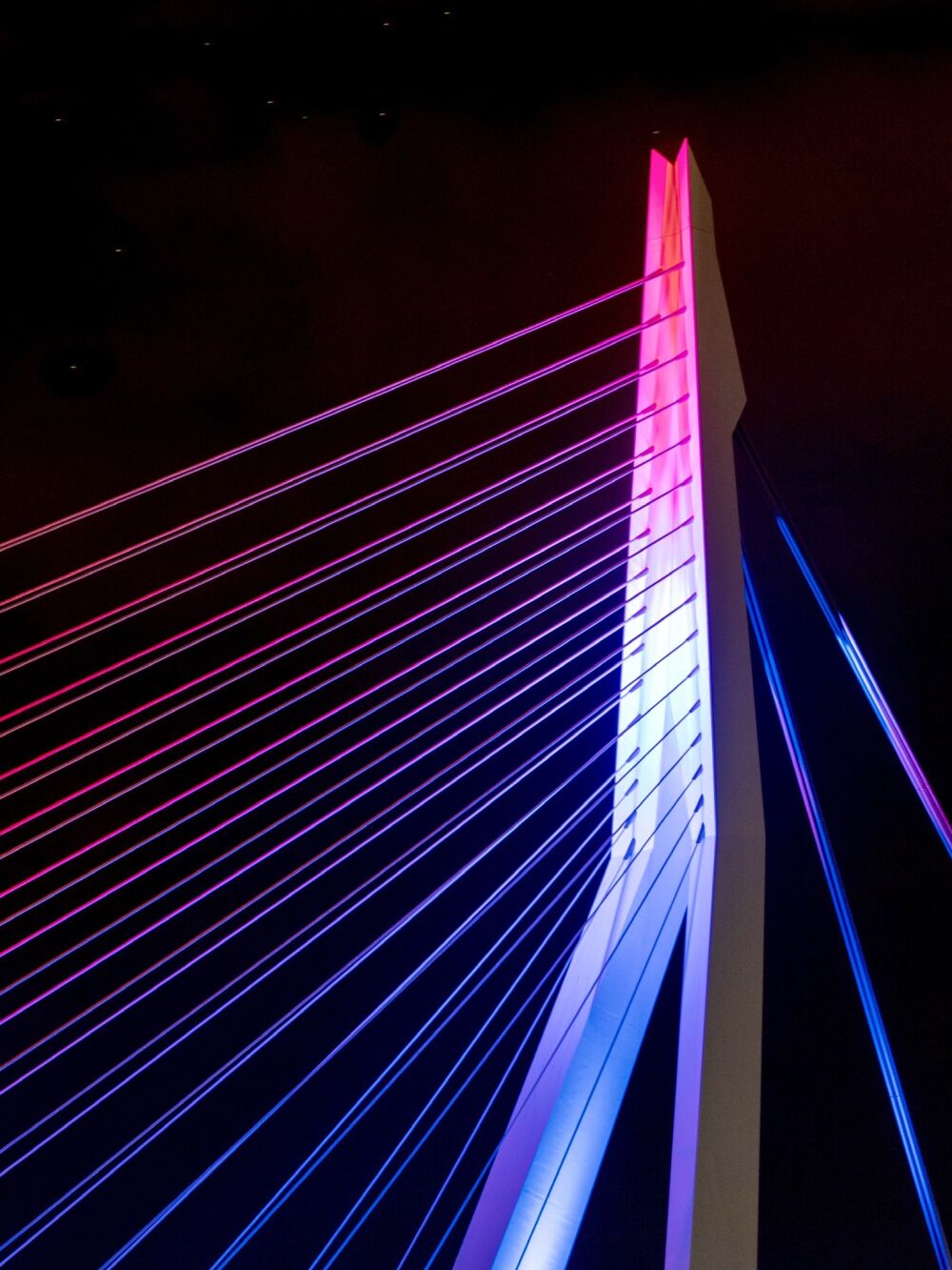 Erasmusbrug rood-wit-blauw