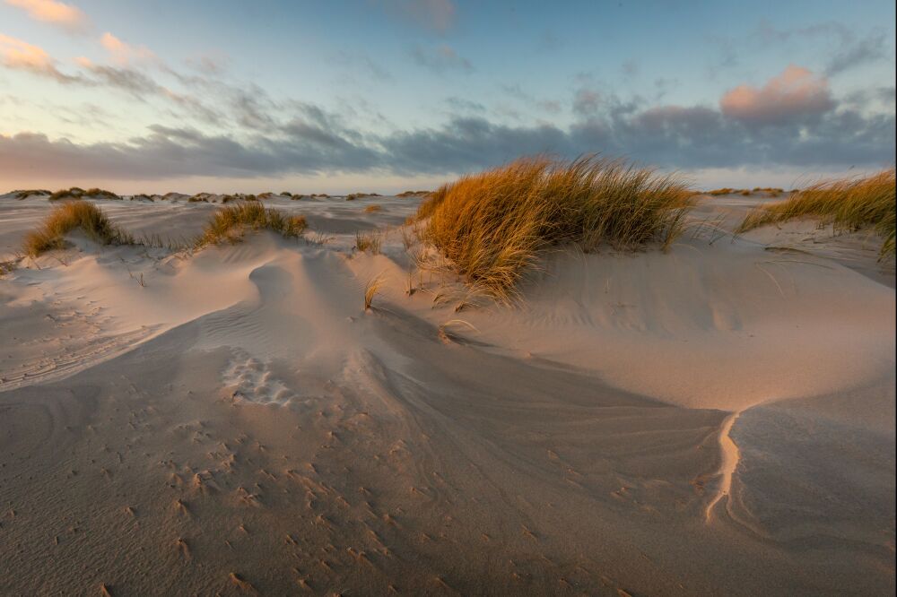 Sfeervolle kleuren en structuren in de duinen