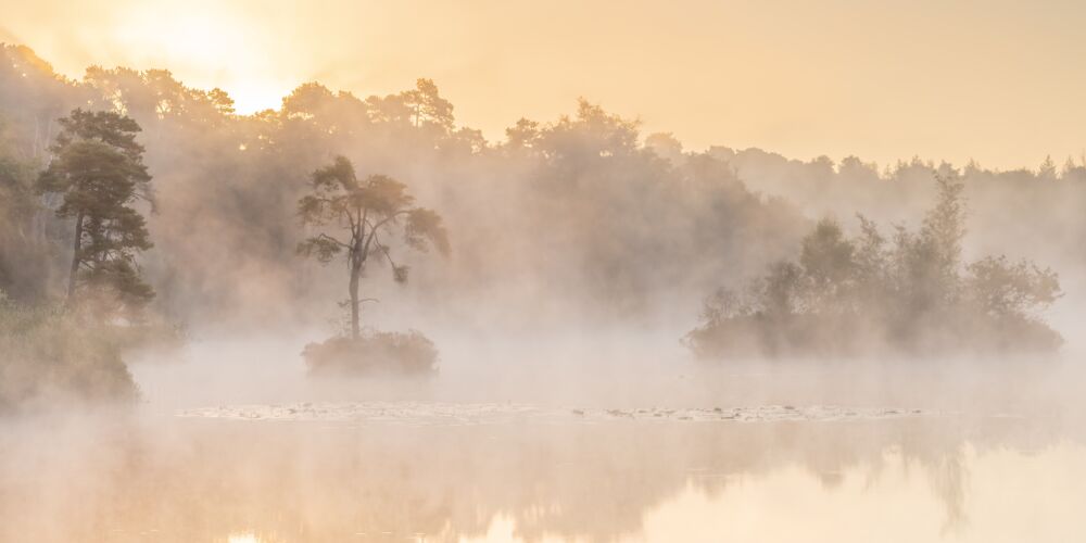 Een nevelige ochtend tijdens zonsopkomst