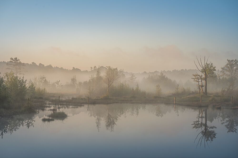 Fine Art Landscape of a Misty Sunrise by the Water"