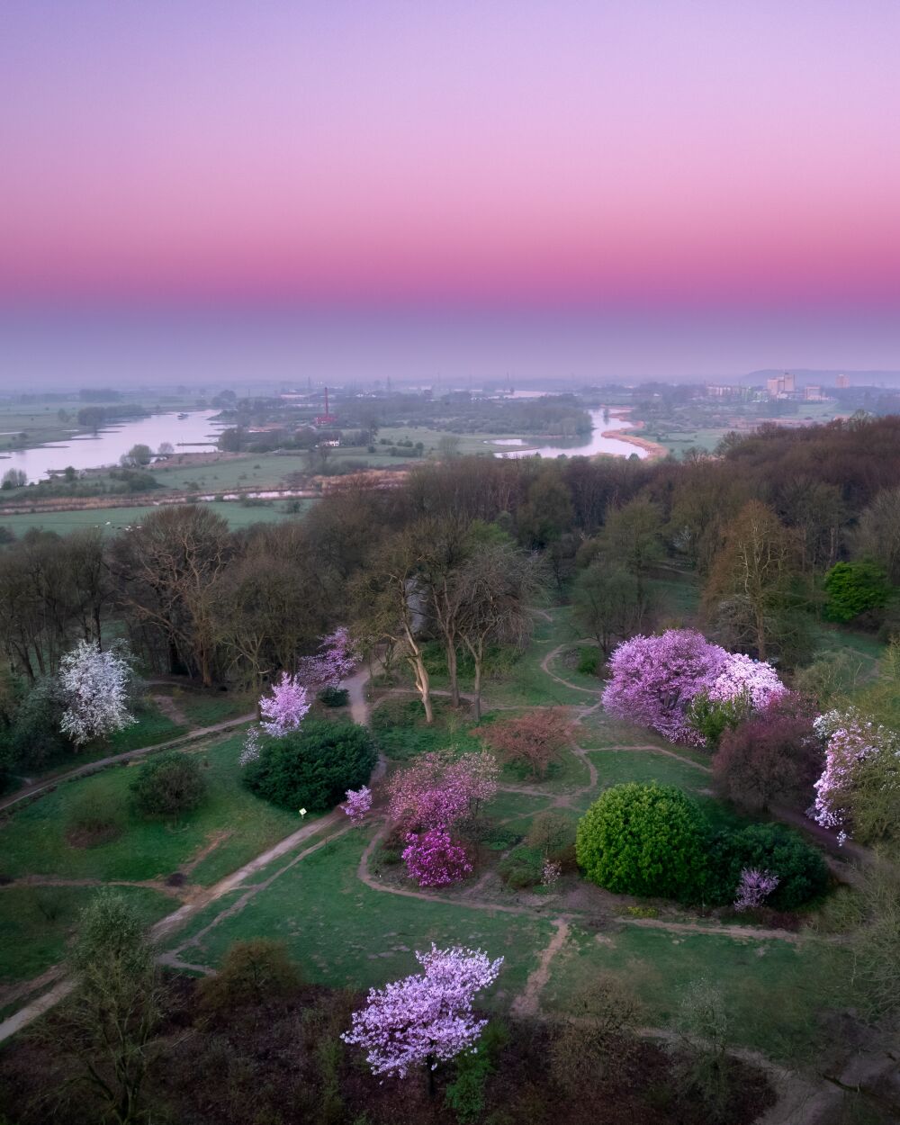 Arboretum Belmonte lente