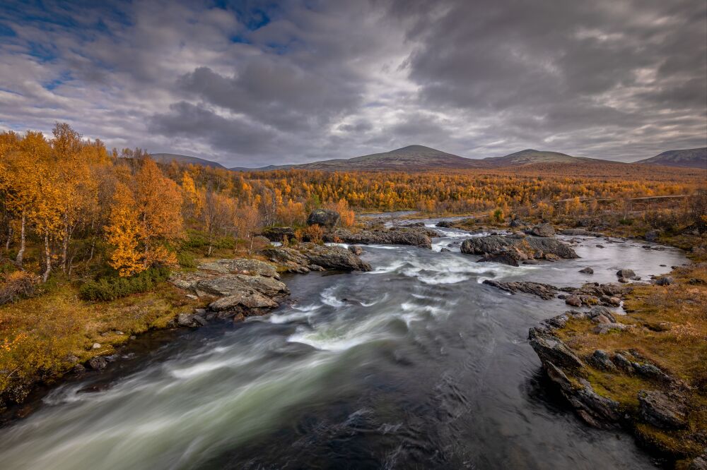 Herfst landschap met stromende rivier