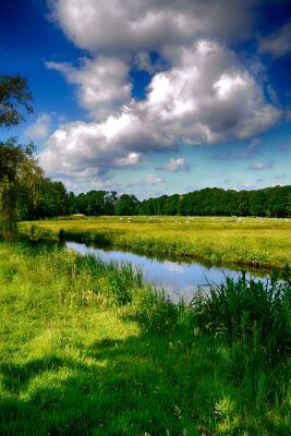 Hollands landschap