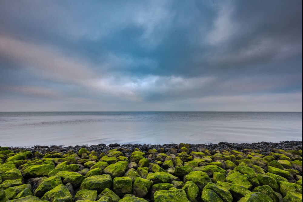 De dijk aan de Waddenzee