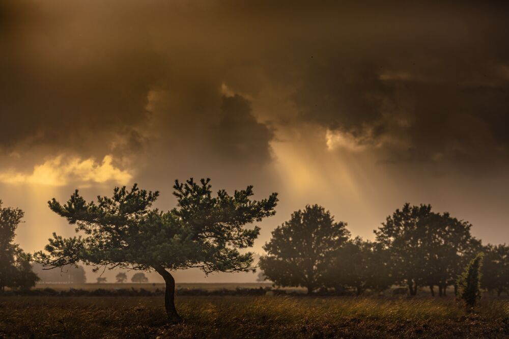 Donkere wolken boven Drenthe