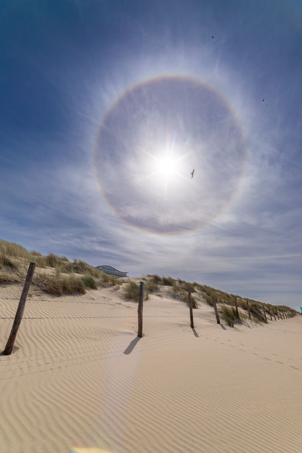 Halo vanaf het strand