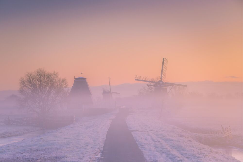 Molenlandschap in de mistige ochtendgloed