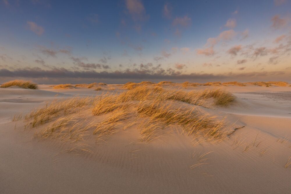 Schitterende strijklicht in de duinen op Texel