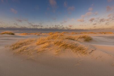 Schitterende strijklicht in de duinen op Texel