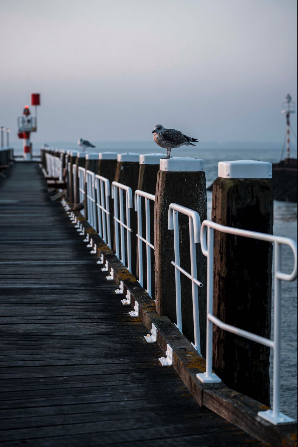 Rust aan de Kust - Meeuwen op een Stille Pier bij Zonsondergang