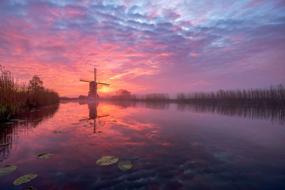 Morgenrood