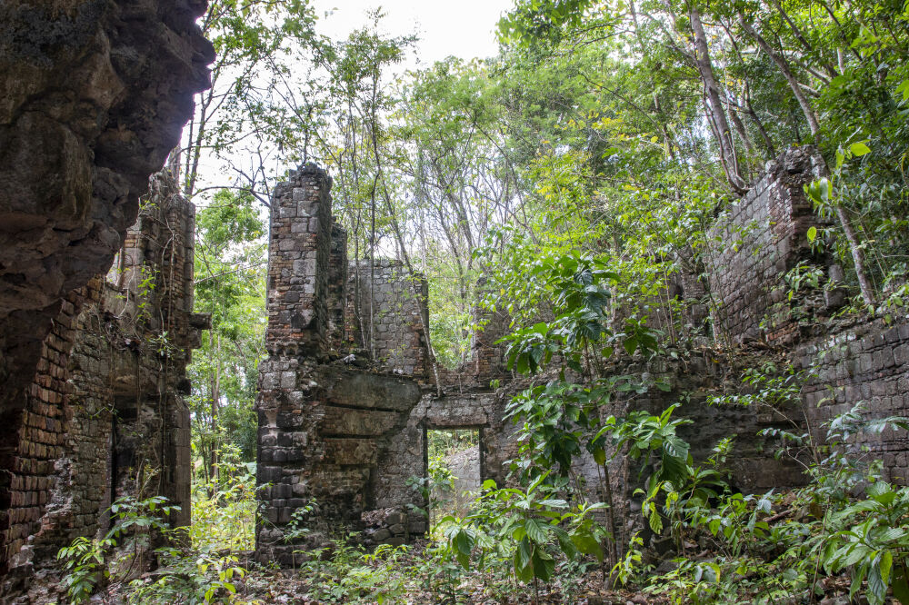 RuÃ¯ne Dominica