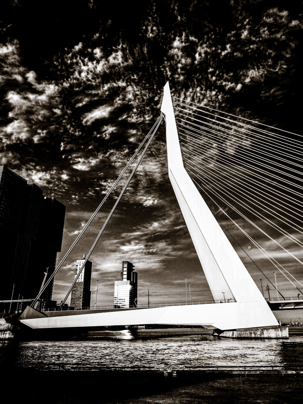 Erasmusbrug B&W Rotterdam 010