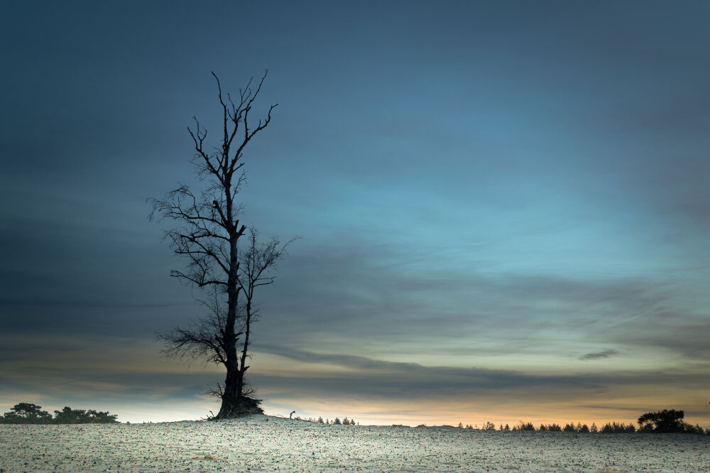 Soesterduinen