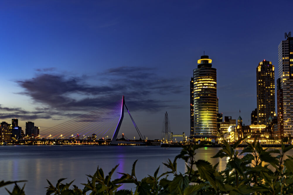 Eurovisie Rotterdam at Night