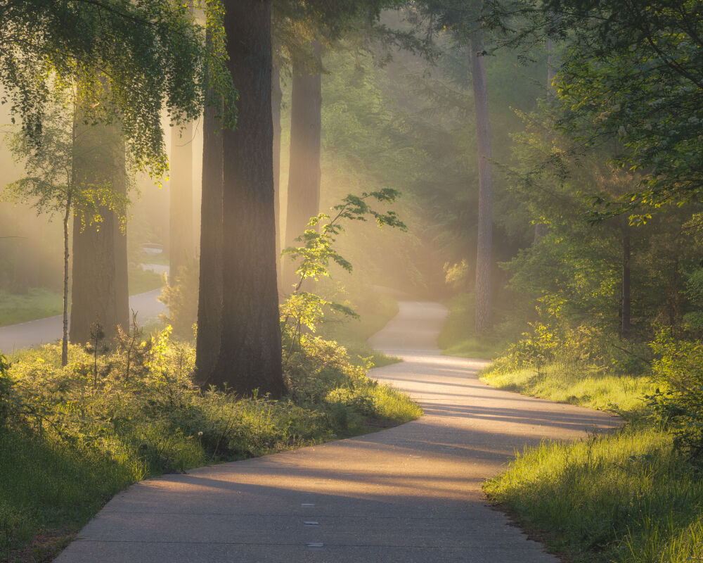 Fietspad in licht