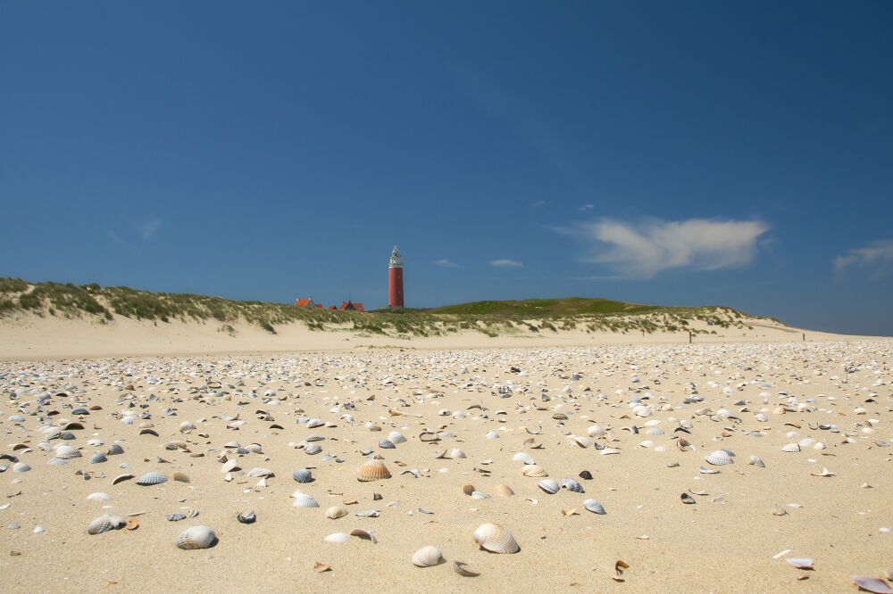 Schelpenstrand voor de vuurtoren Eierland op Texel