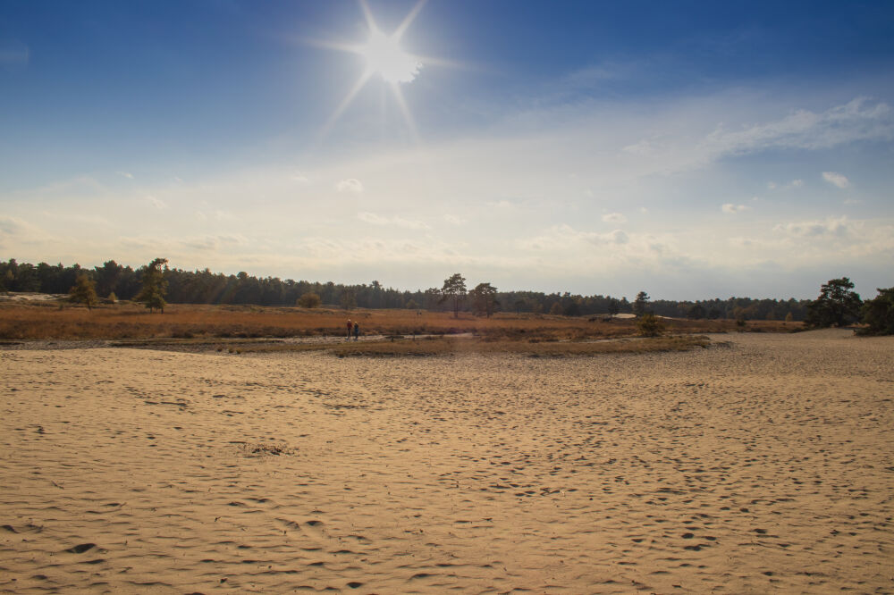 Loonse en Drunense duinen - 1 