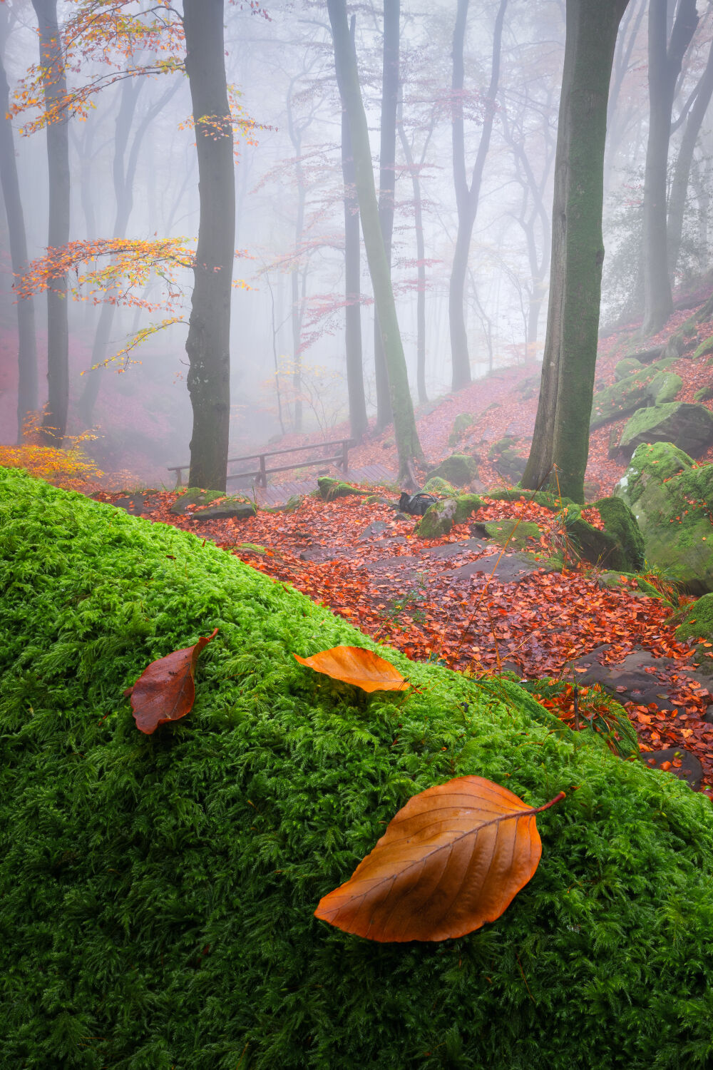 Herst in Luxemburg