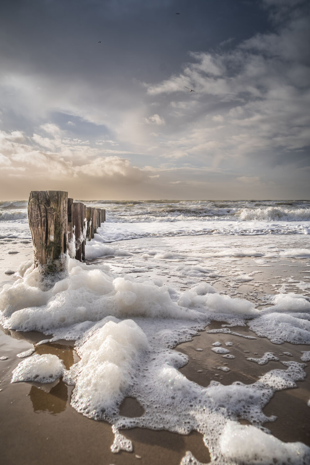 Winter aan het strand