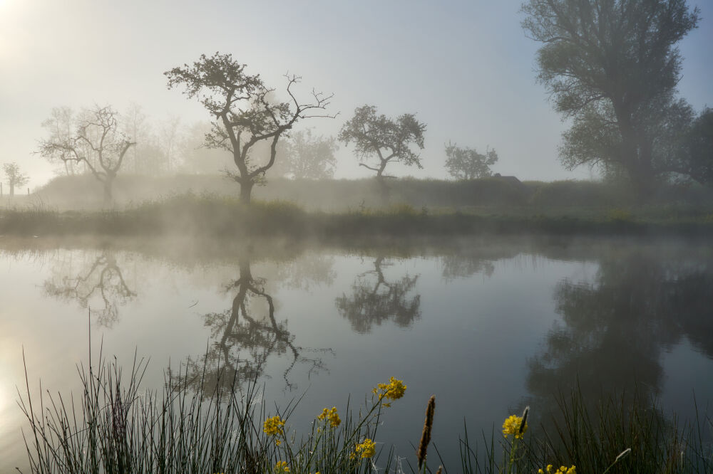 Nieuwe Hollandse Waterlinie, mist en zonsopkomst