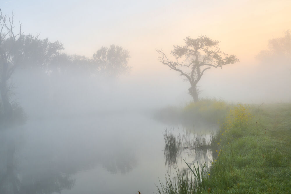 Zonsopkomst en ochtendmist