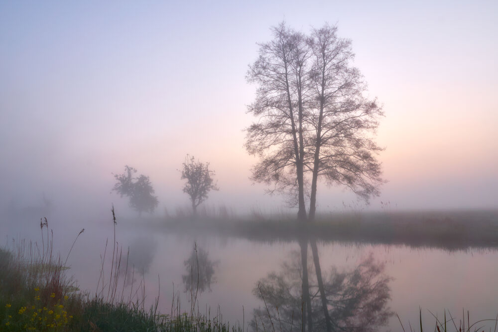 Zonsopkomst en mist aan het water