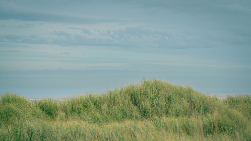 Dunes II