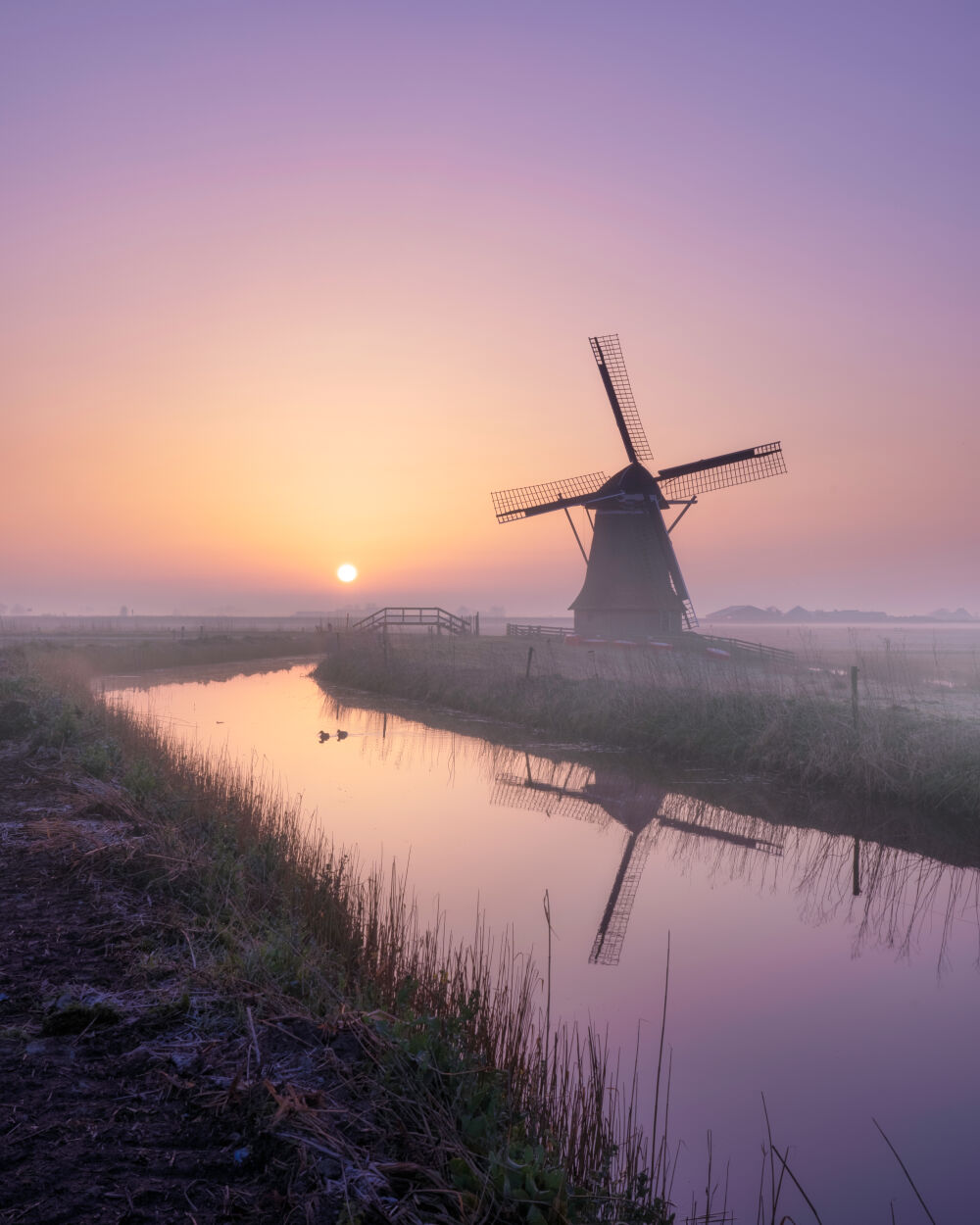 Zonsopkomst bij de Hempenserpoldermolen tijdens een mistige ochtend