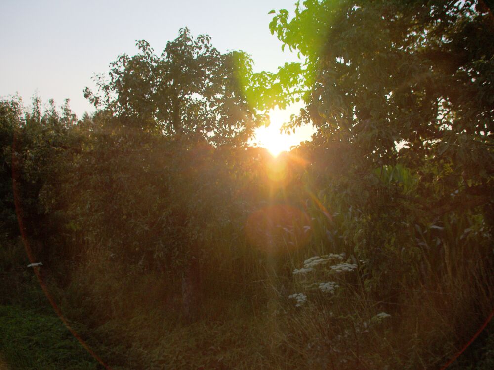 Ondergaande zon bij Elst (Overbetuwe)