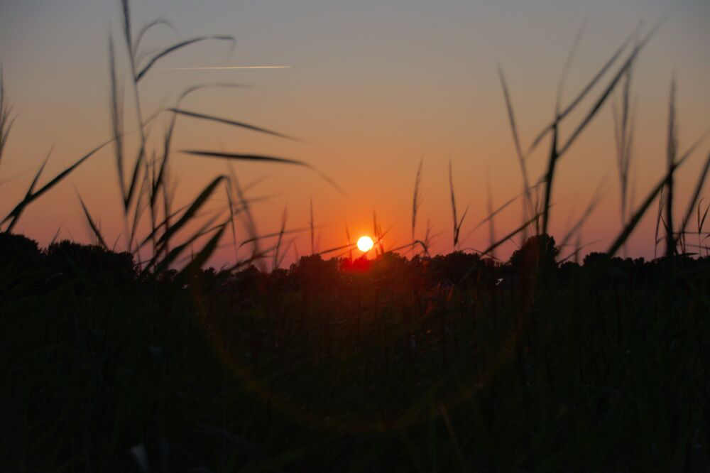 Ondergaande zon in Het Waterrijk