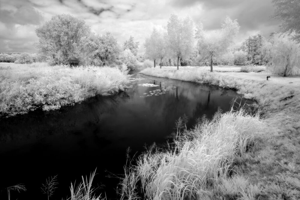 Zwart wit, infrarood, landschap, de Mark, Noord-Brabant