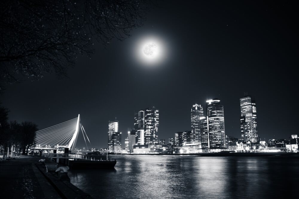 Rotterdam Skyline