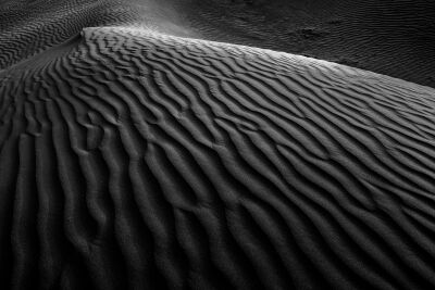 Sand dune in the Sahara desert I