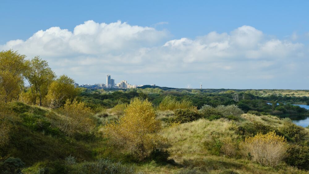 Zicht op Scheveningen vanaf de Meijendelse Berg