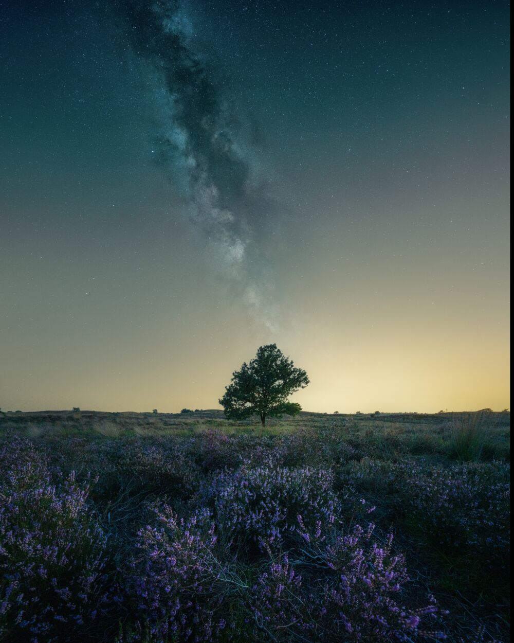 De indrukwekkende melkweg boven de paarse heide