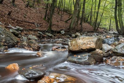 De rivier de Hoëgne in de Ardennen