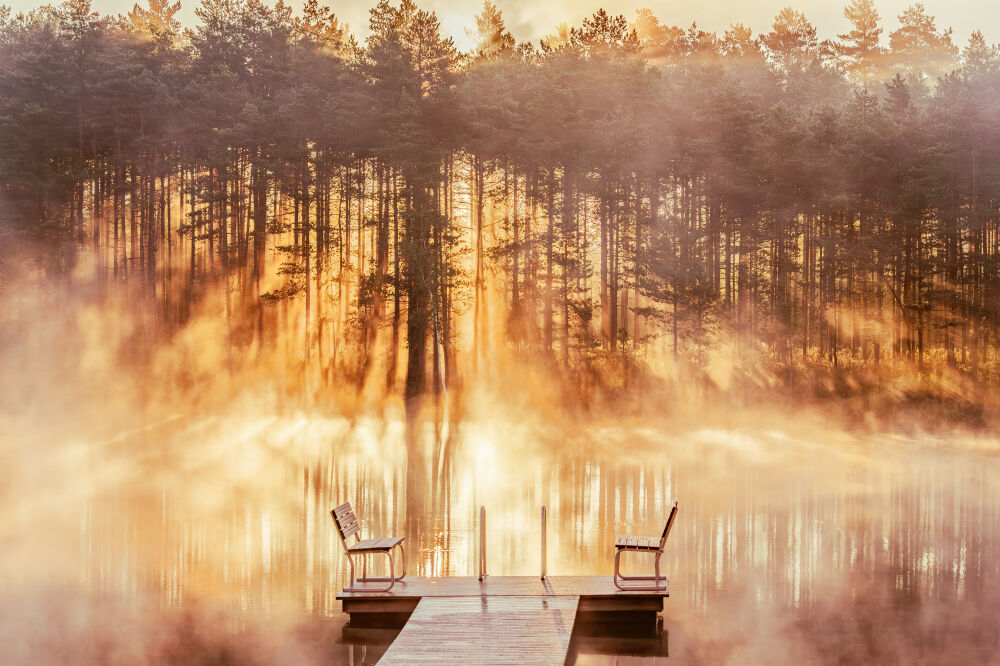 Finland, a misty morning