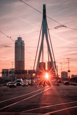 The Perfect Sunset Rotterdam